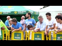 Vacas de 5 a 6 años