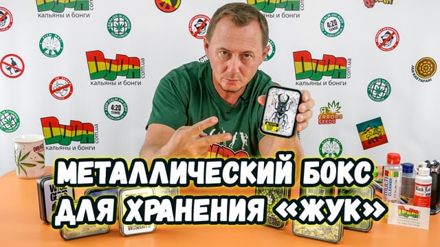 Купить металлический бокс для хранения «Жук» в магазине Дуда
