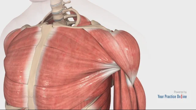 Shoulder Labrum Reconstruction Henry County