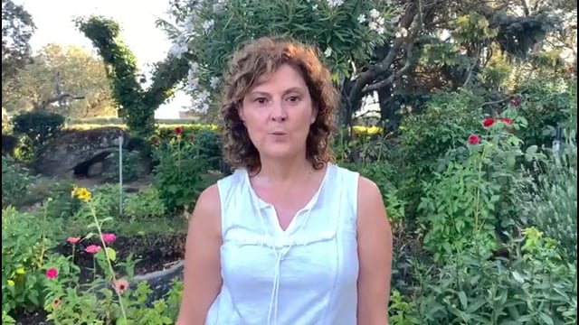 Nuevo Vídeo Presentación