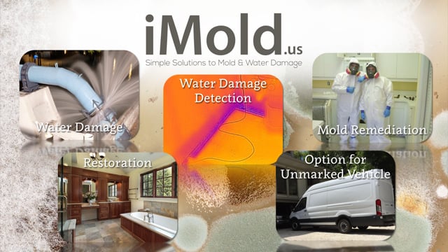 Small Business Custom Overview Video