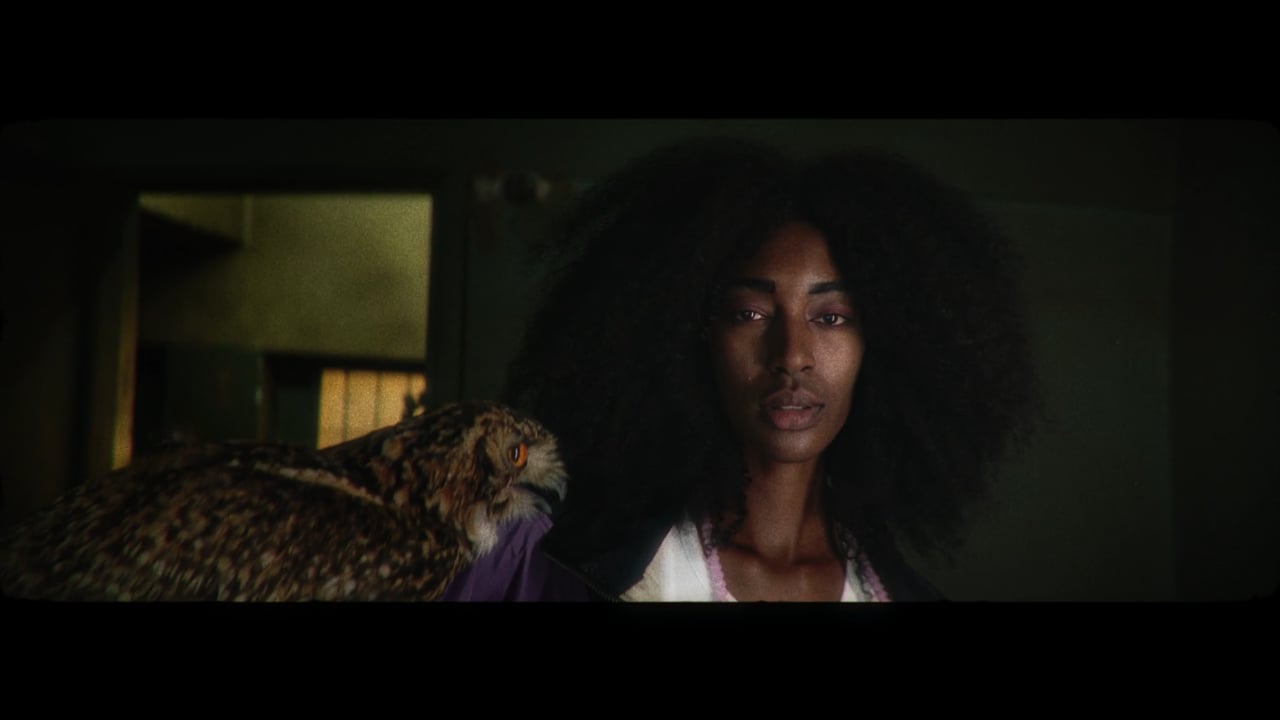 TECNO | Unleash Your Vision film poster