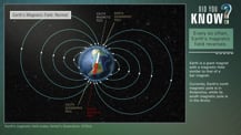 At left is an artist's concept of Earth with the magnetic and geographic poles illustrated and labeled. In the top right corner is the "Did You Know?" logo. Just below is a green box with text that reads "Every so often, Earth's magnetic field reverses." More text appears below.