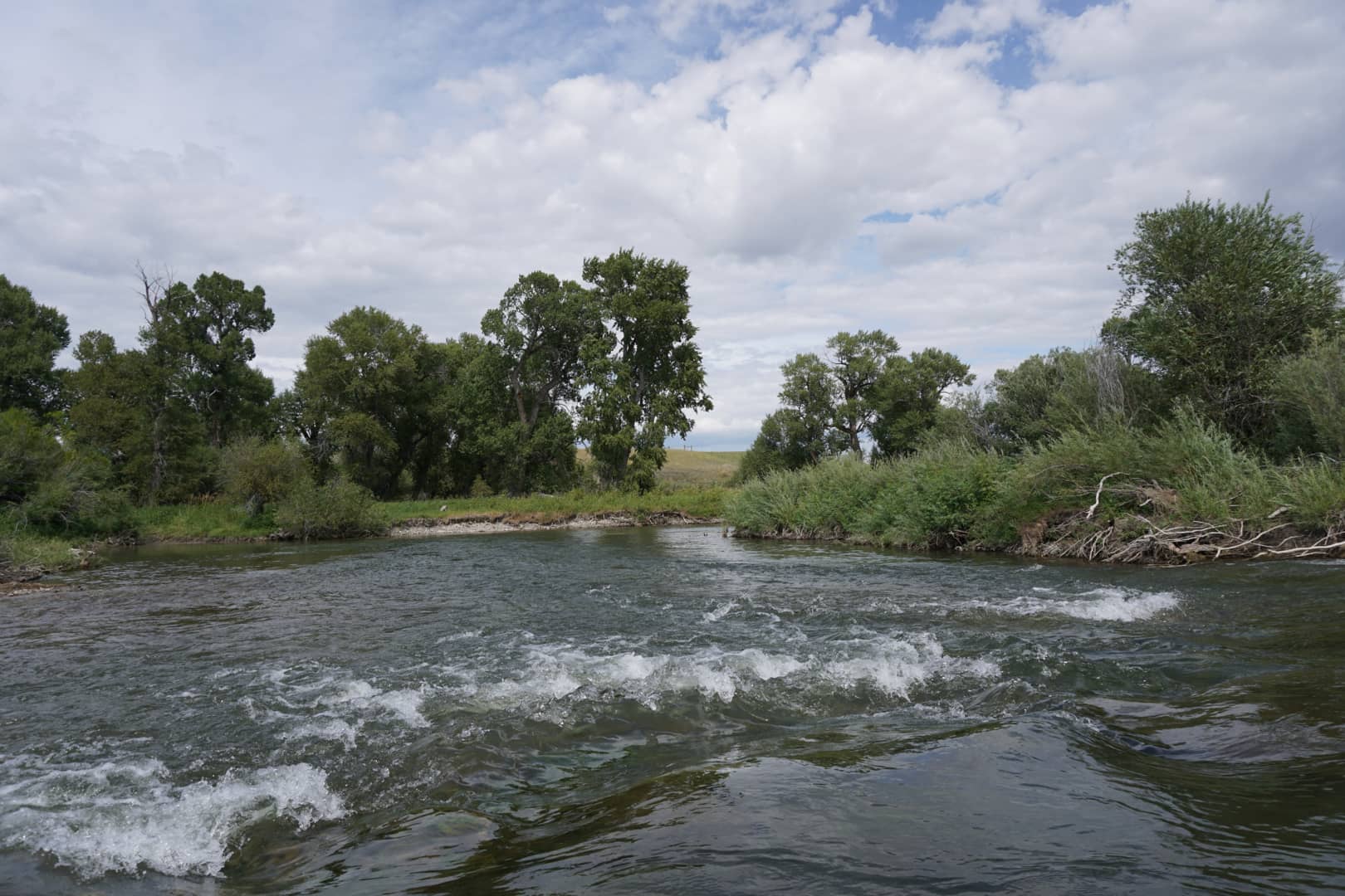 Montana Mexican John Ranch - River Ranch - August 15, 2019 on Vimeo