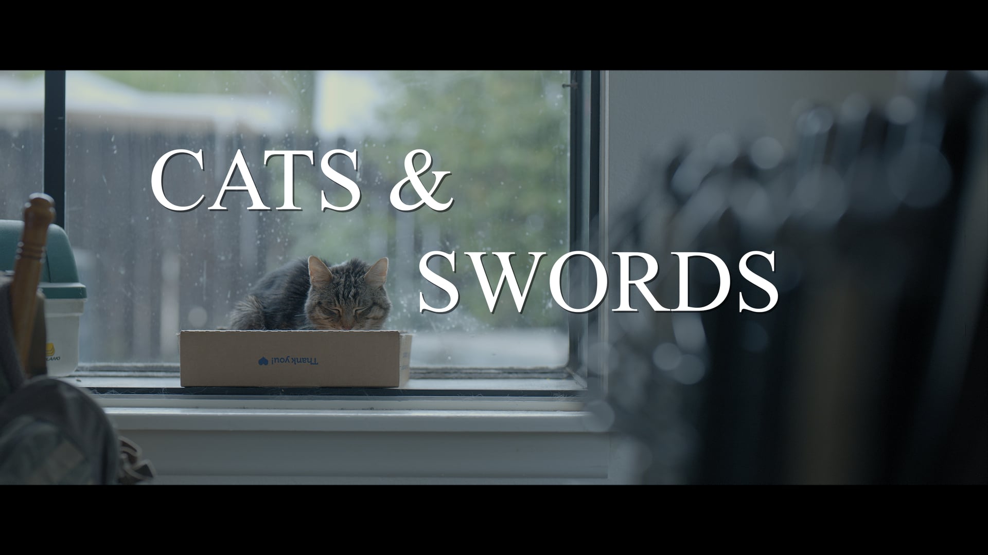 Cats and Swords Private Festival Screener