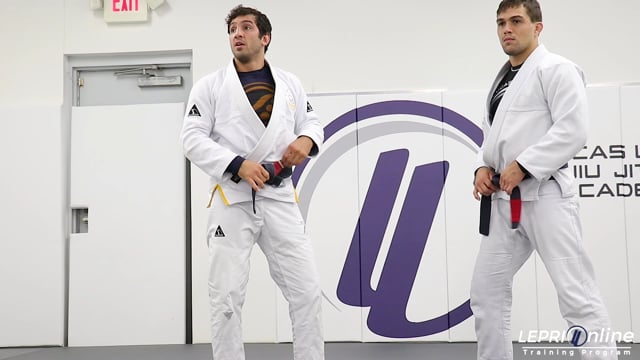 Single Leg Defense to Turtle Position Control