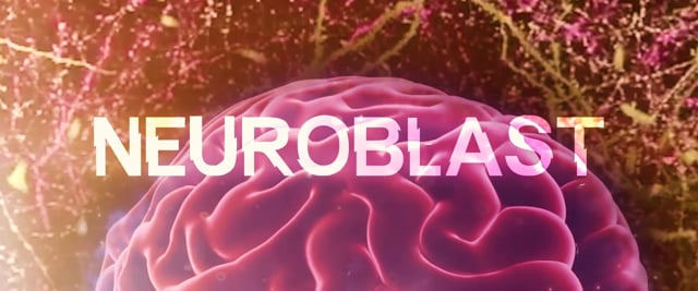 NEUROBLAST