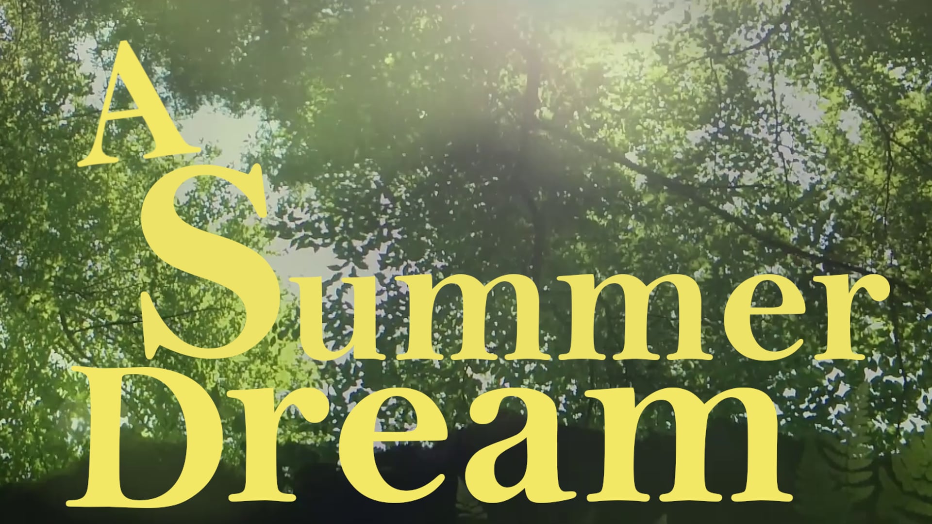 A SUMMER DREAM | Wildlife Short Film of New England