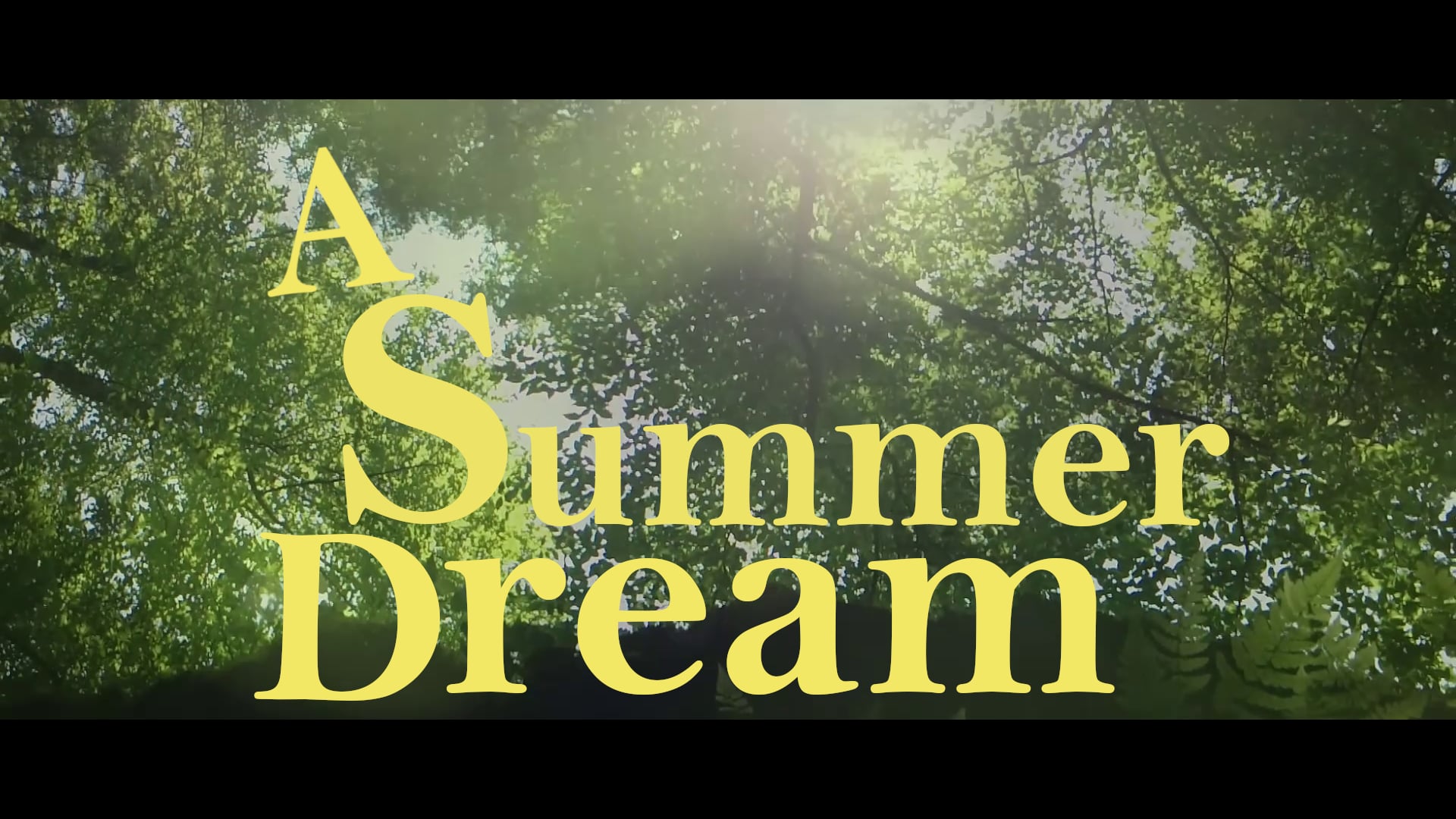 A SUMMER DREAM | Wildlife Short Film of New England