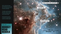 At left is text. In the bottom left corner is a blue-green box with text that reads "Cosmic Tour, Monkey Head." At right is an image of the Monkey Head with labeled features. In the bottom right corner is a scale bar. 