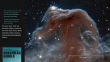 At left is text. In the bottom left corner is a blue-green box with text that reads "Cosmic Tour, Horsehead Nebula." At right is an image of the Horsehead Nebula with a scale bar in the bottom right corner.