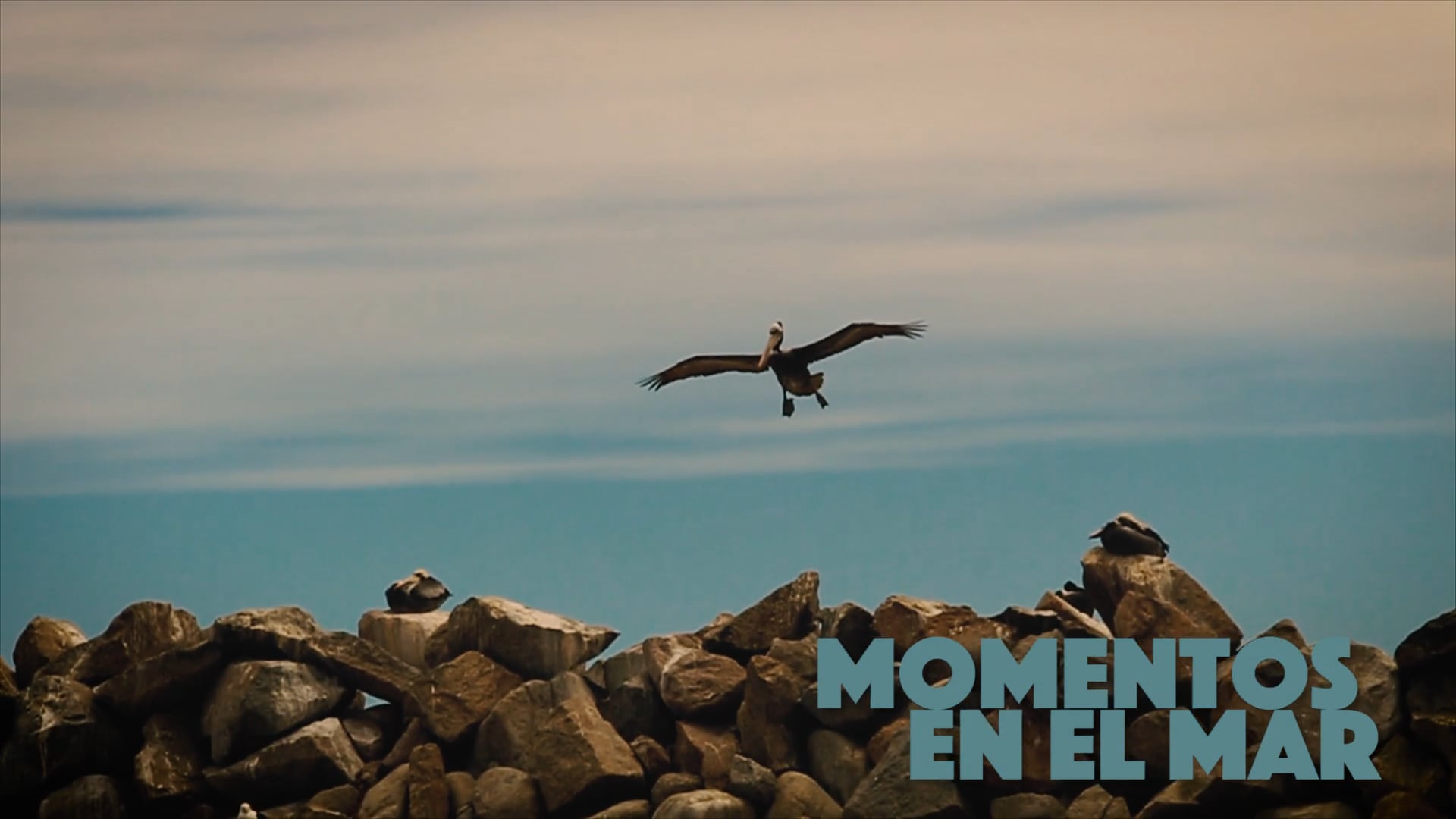 Momentos En El Mar