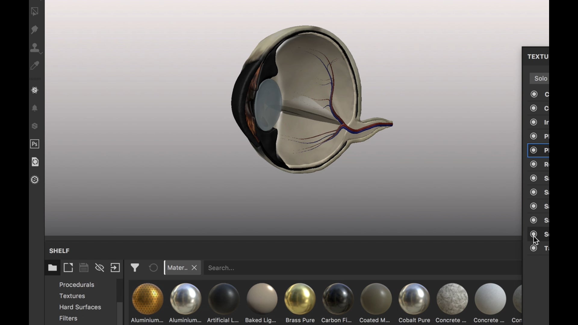 The Equine Eye Substance recording