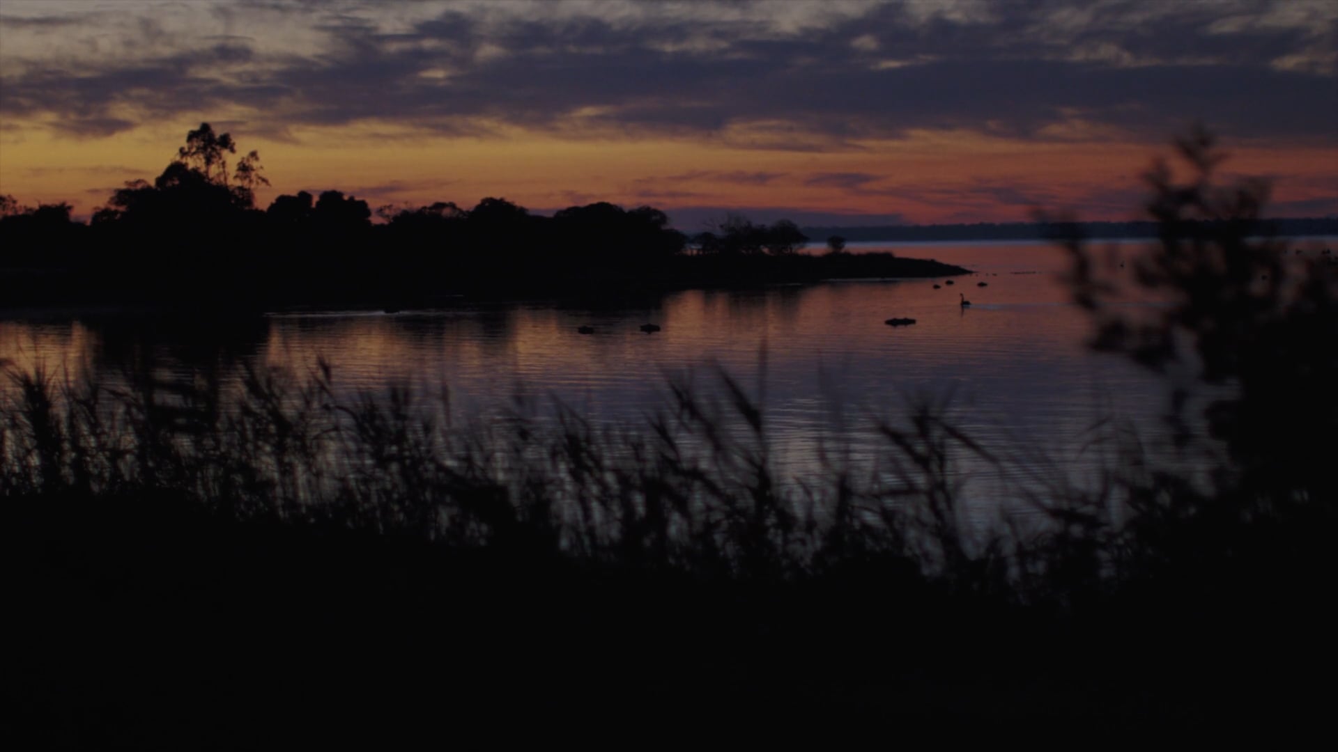 Melbourne Museum | Blak Day, Sun Rises, Blood Runs