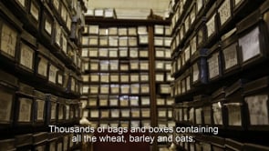 Vavilov Institute: The world granary