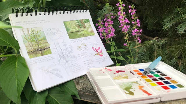 How To Start A Nature Journal - A Beginners Guide