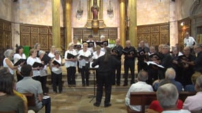 Concert d'homenatge al Mestre Lluís Albert