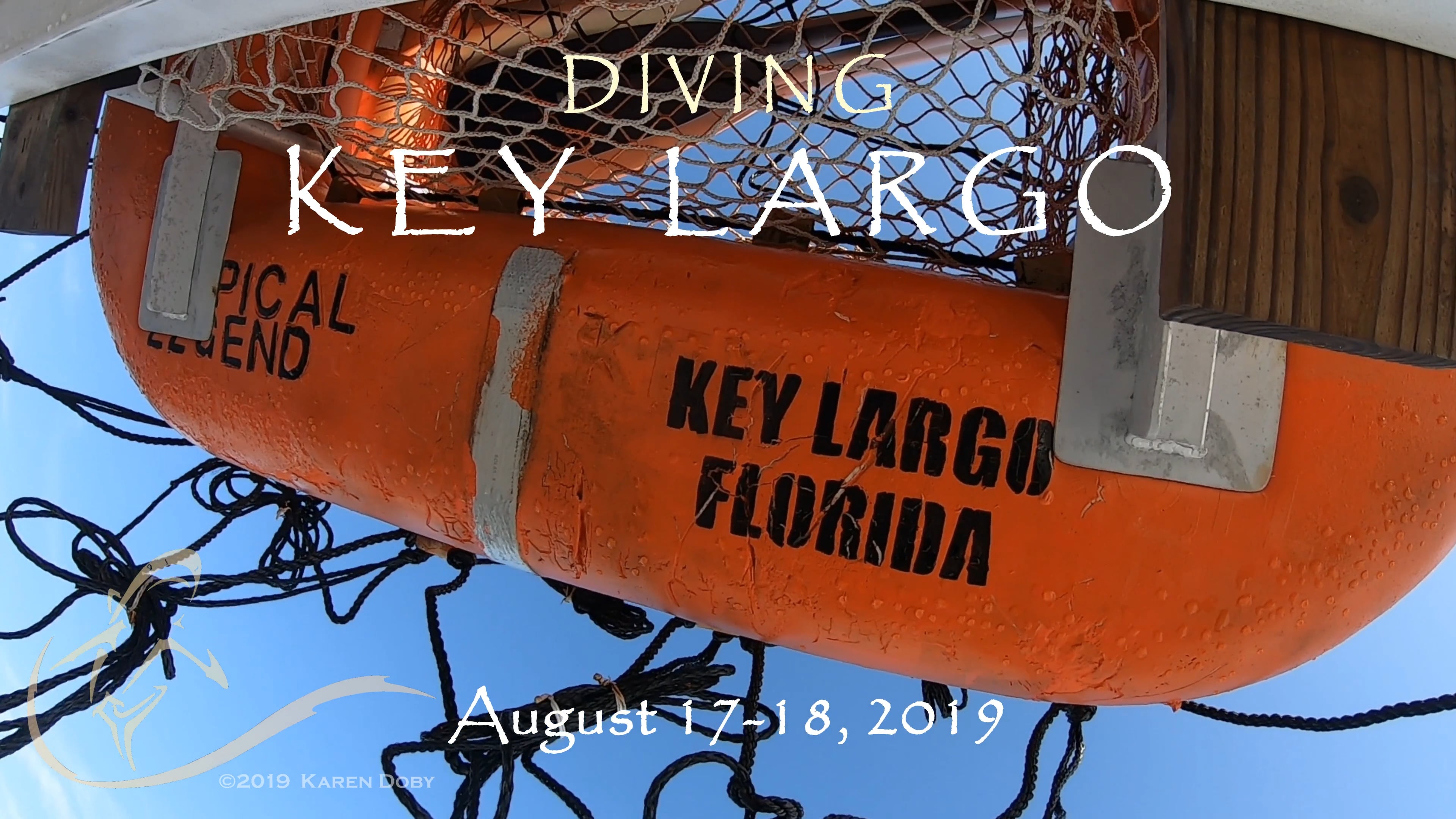 Underwater Worlds - Diving Key Largo (2019.Aug) on Vimeo