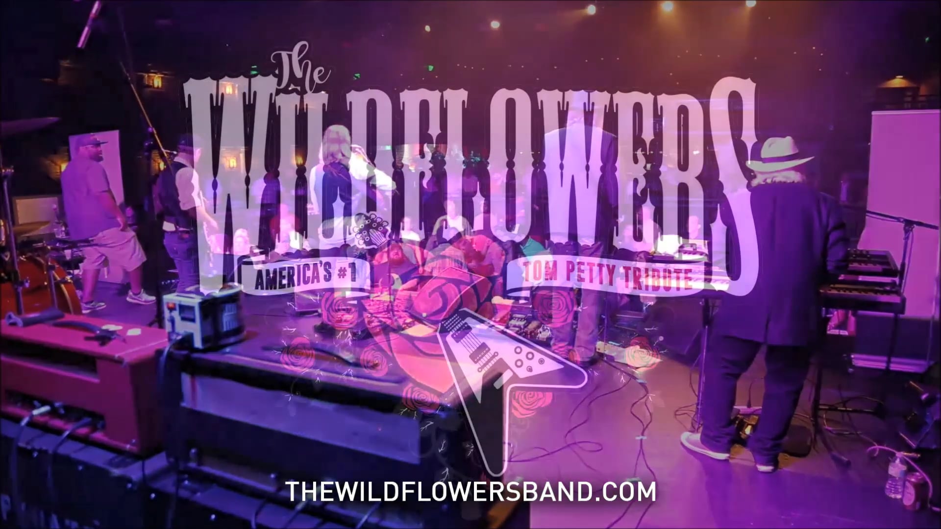 Promotional video thumbnail 1 for The Wildflowers - A Tribute to Tom Petty
