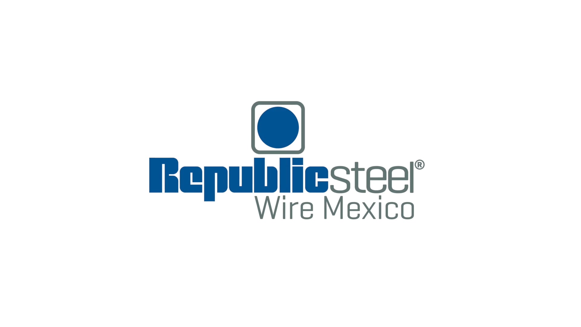 REPUBLIC STEEL WIRE MEXICO