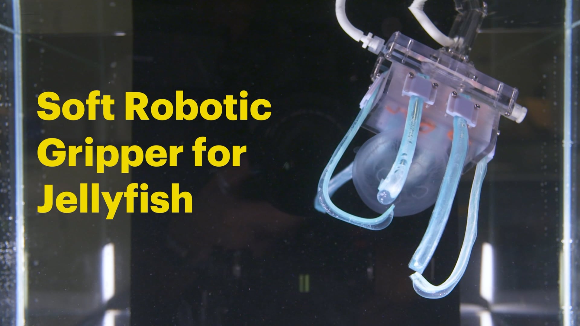 Soft Robotic Gripper for Jellyfish