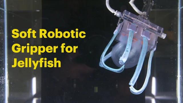 Gentle and Intelligent—A Robot Gripper Made for Sensitive Tasks - News