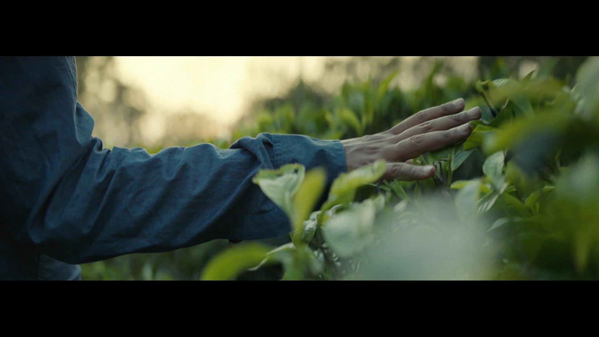 LAKEER - a UN women film