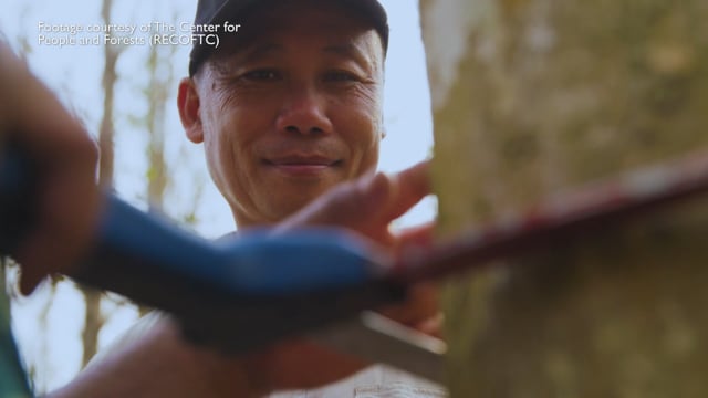 USAID Green Invest Asia