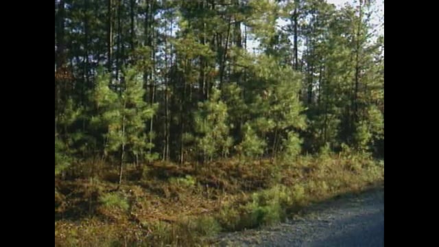 808227142 8d4dfffd3d2351c16de2c5dd7015c6d1625cada928009a6d4baf0010a11d808d