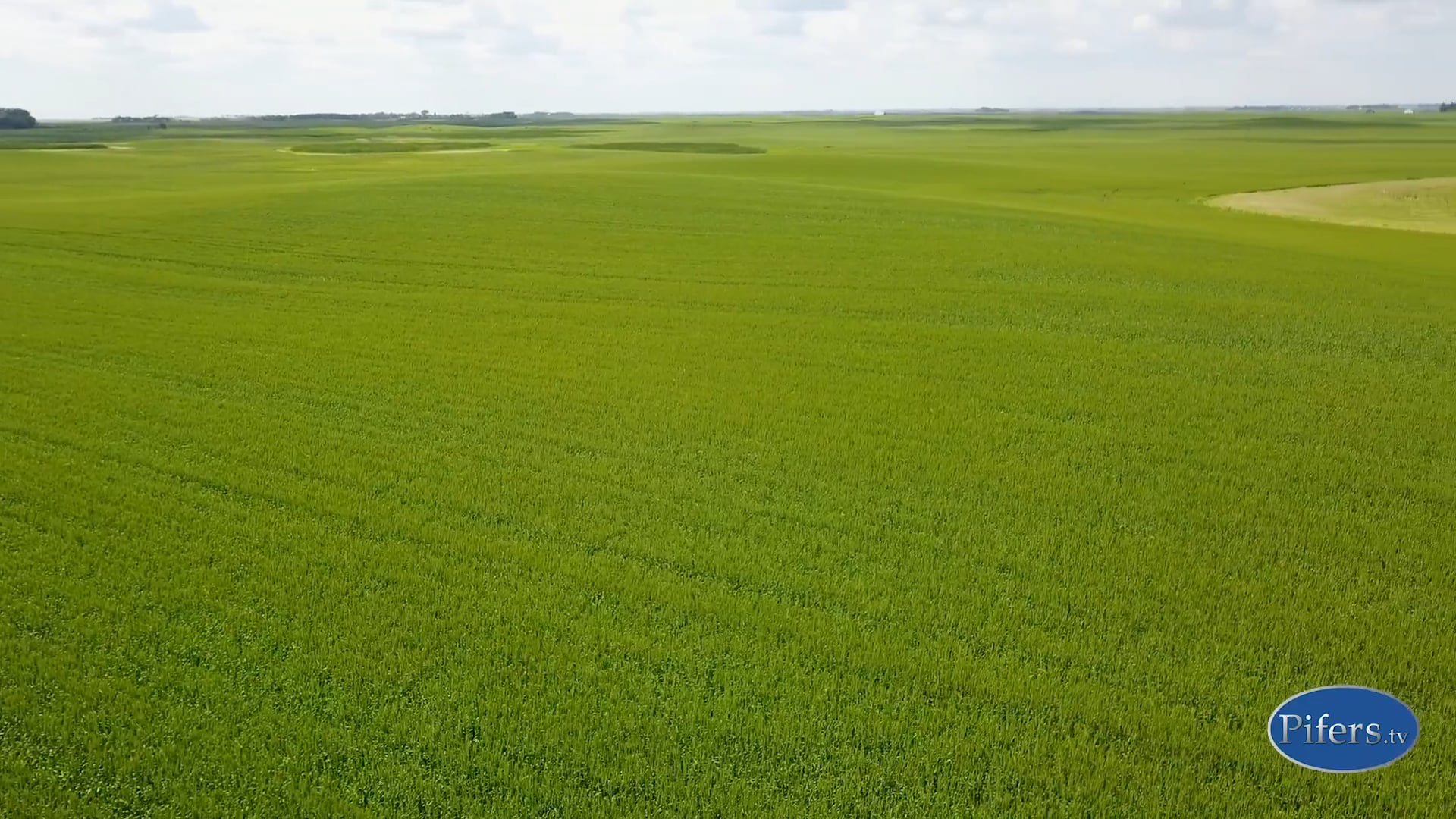 LAND FOR SALE 160 +/ Acres Towner County, ND on Vimeo
