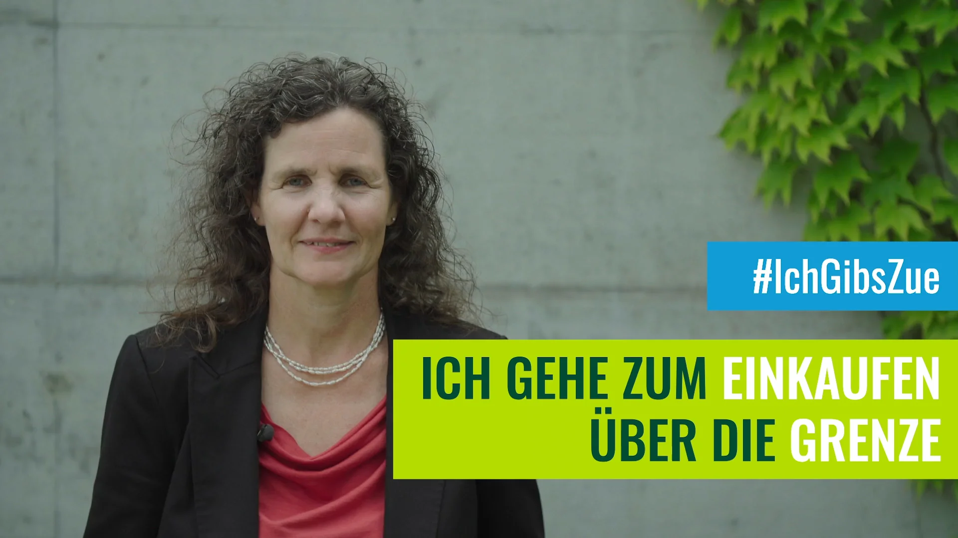 IchGibsZue Ich gehe zum Einkaufen über die Grenze on Vimeo