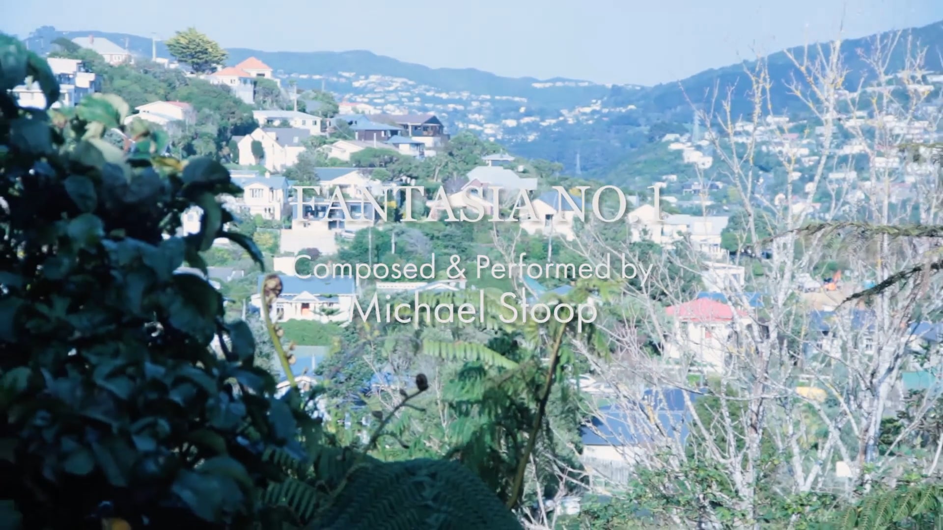 Fantasia No.1 - Michael Stoop
