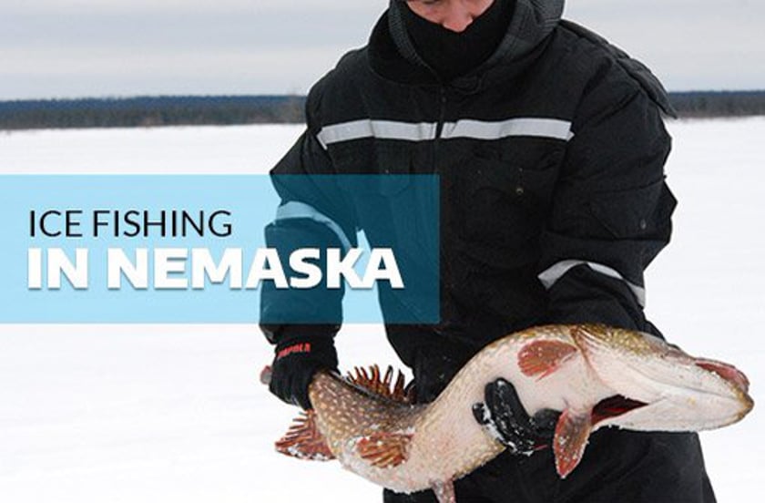 vimeo-video-thumbnail