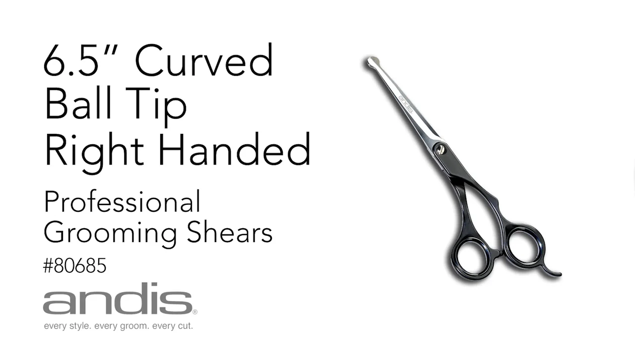 Andis shop thinning shears