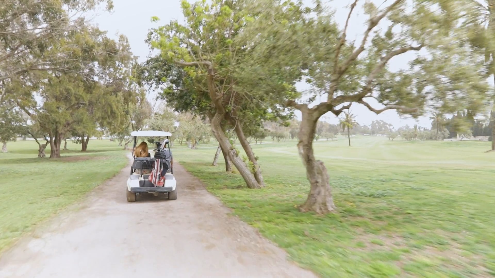 Bienvenue en Tunisie - Golf