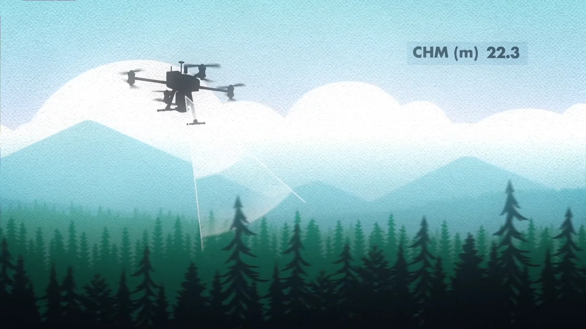 National Forest Vision - Forest Vision_ENGLISH SUBTITLES on Vimeo