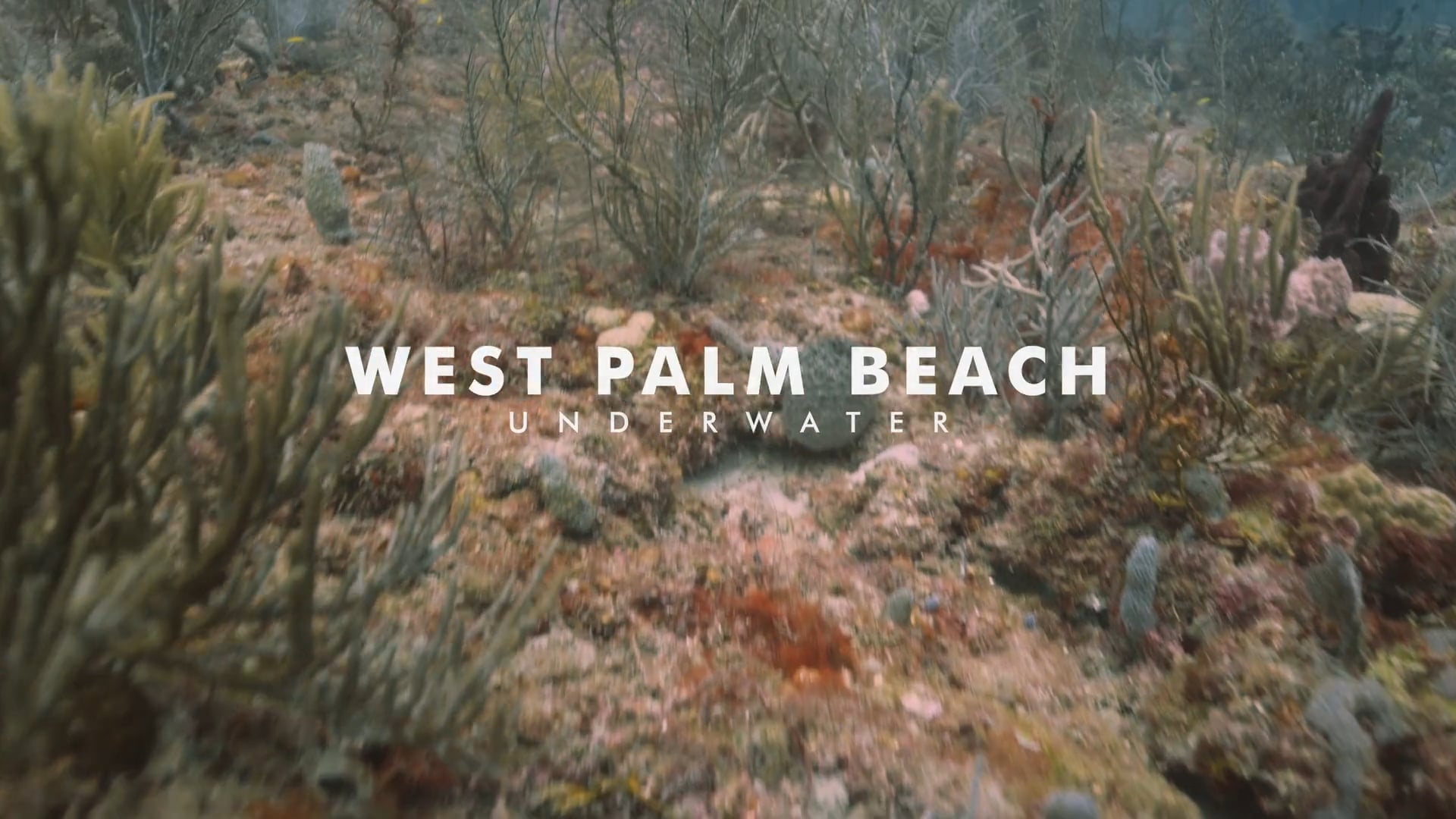 West Palm Beach
