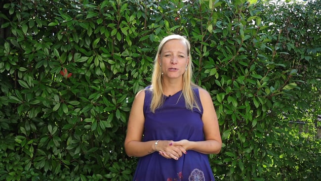 Nutze das gesamte Buffet