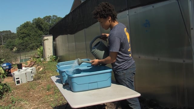 Vermicomposting SAE