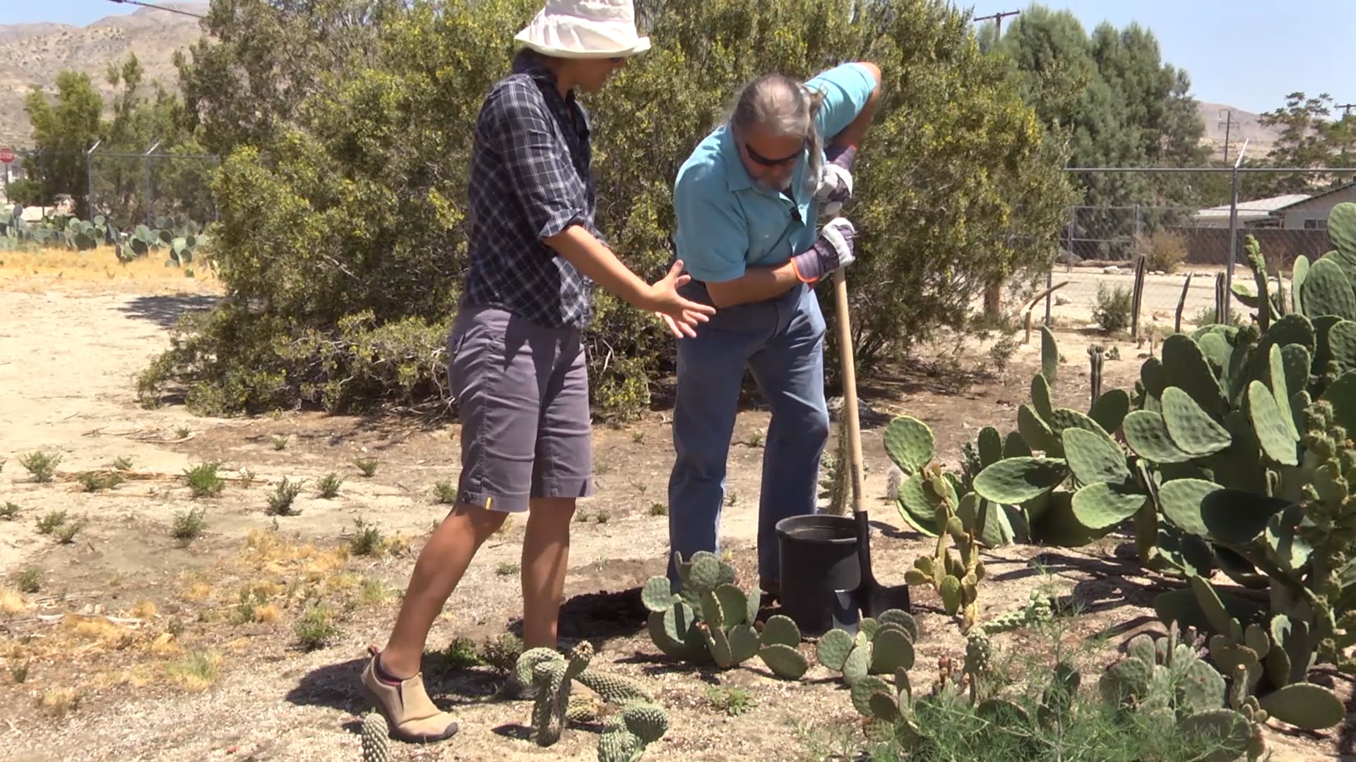 Southwest Stories: Dig Your Own