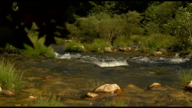 Des Rivières Sauvages et des Hommes