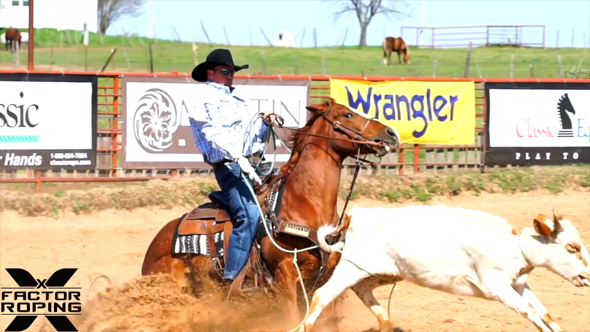 FREE Rope Horse Futurity Horses with Joseph Harrison