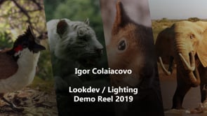 Igor Colaiacovo's Group