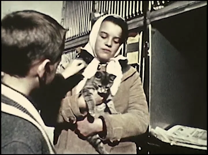 Brother Buzz TV Series - A Lost Friend-SPCA on Vimeo