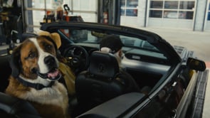 Related Embedded Video Item Thumbnail