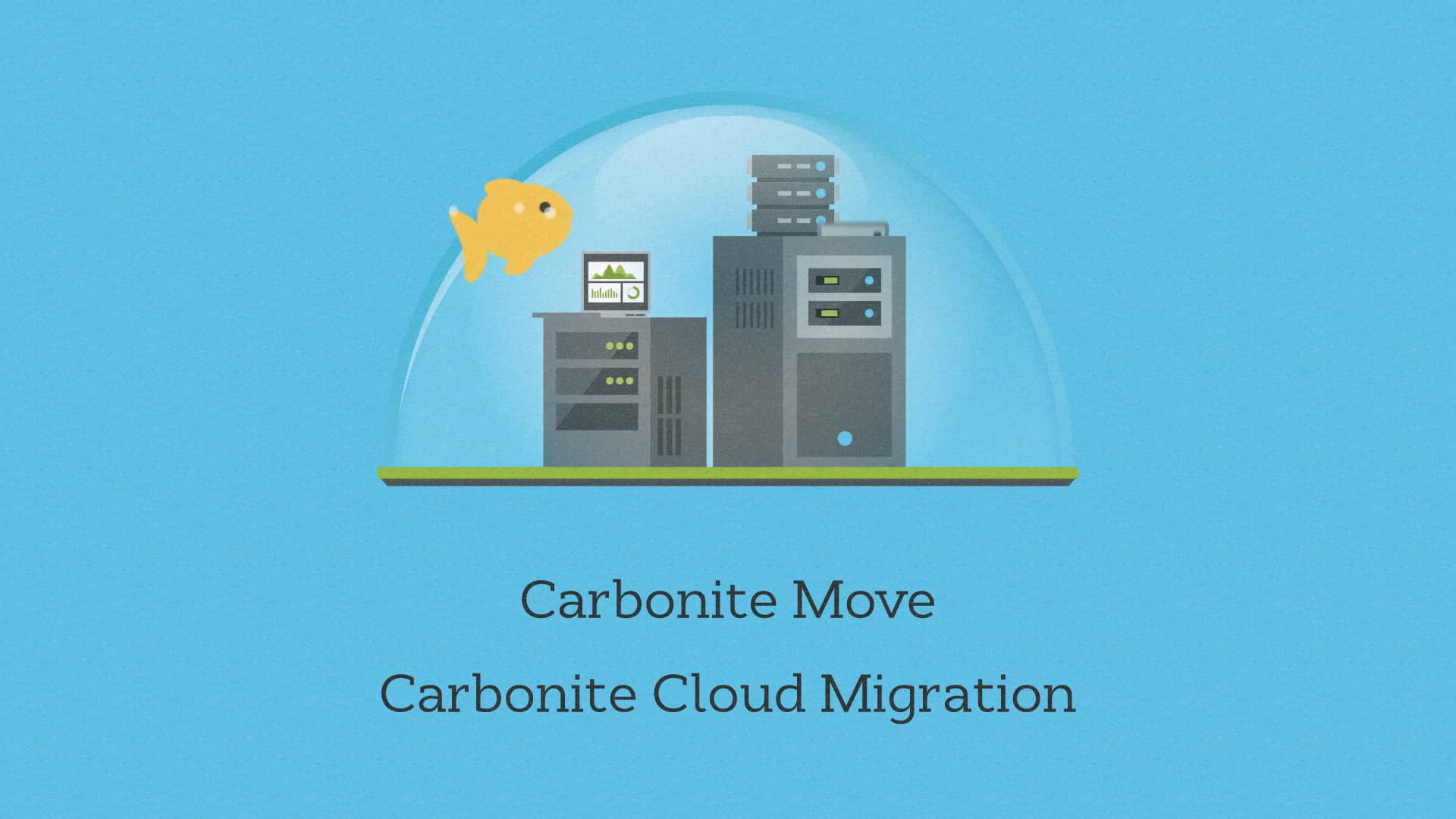 Carbonite Physical Migration on Vimeo