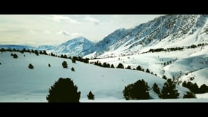 Related Embedded Video Item Thumbnail