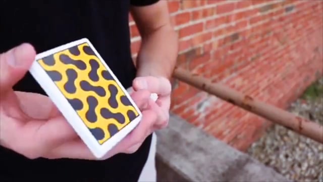Cheetah Playing Cards Vanishing Inc. Magic shop