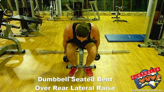 Dumbbell Seated Bent Over Rear Lateral Raise