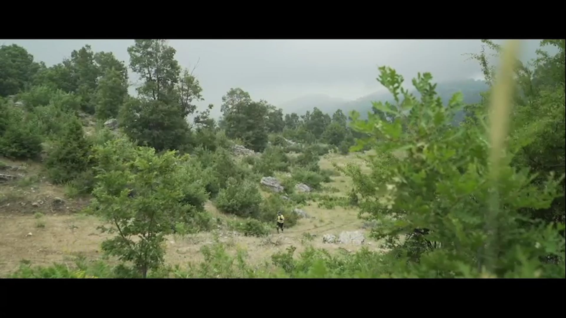 CONFESSIONS OF A RUNNER (2024)